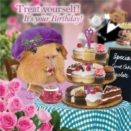 6 onderzetters Tea and Cake ( cavia print)