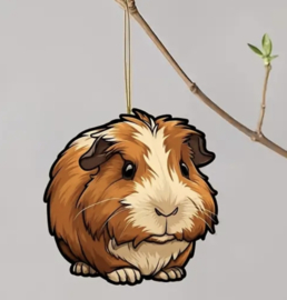 Hanger cavia