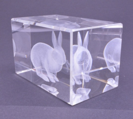 3D Laser Gravure Konijn