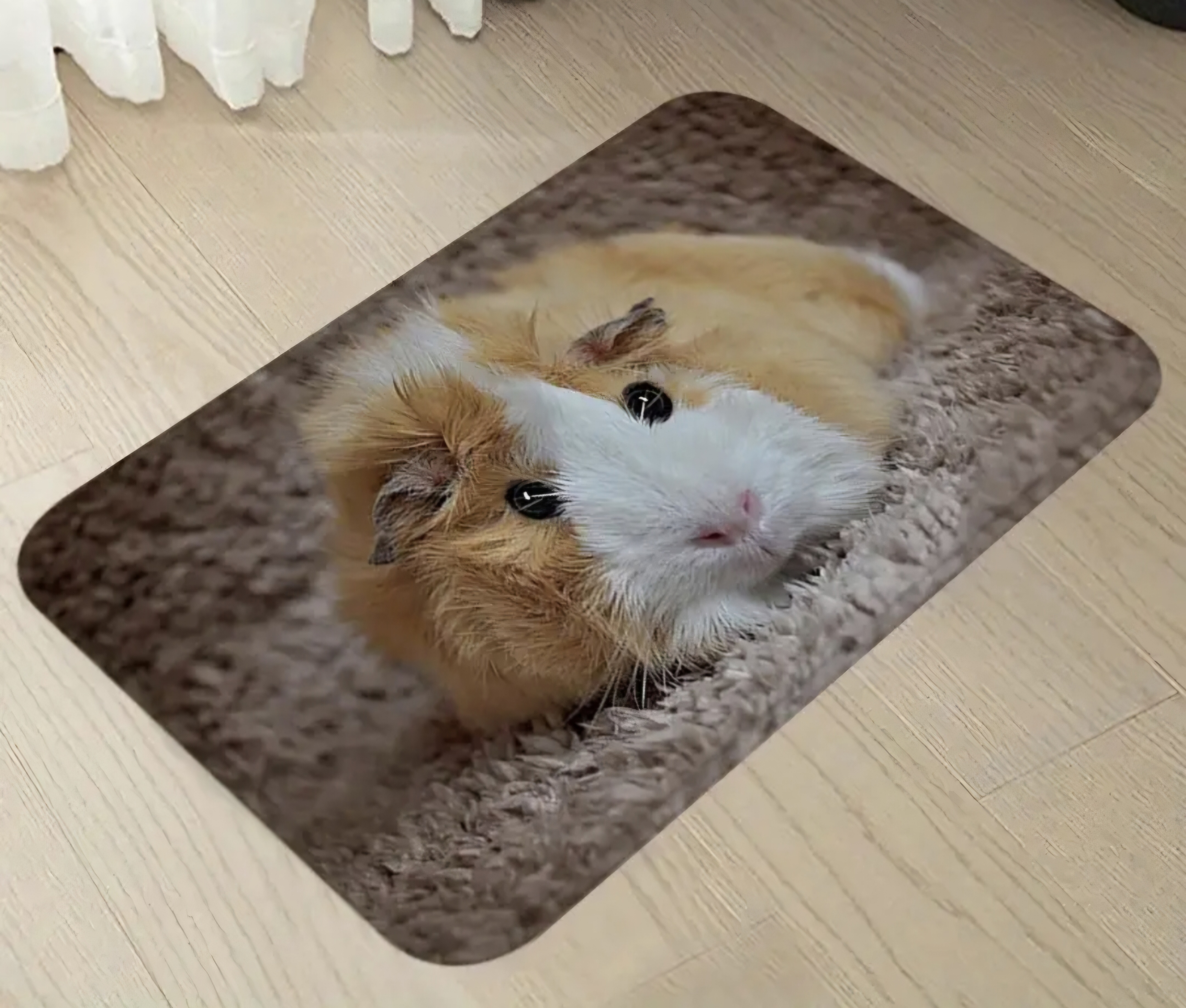 Deurmat Badkamer Mat Tapijt cavia