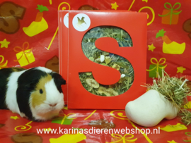Sinterklaas Letter voor je knaagdier en konijn 