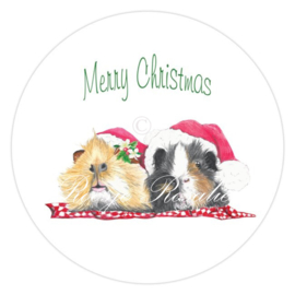 Sticker Kerst Charlie & BenBen ( 4 stuks)