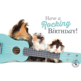 Cavia Kaart Have a rocking birthday !