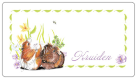 Sticker Cavia KRUIDEN