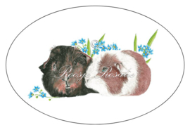 Grote Sticker / sluitzegel cavia’s Archie & Blessing