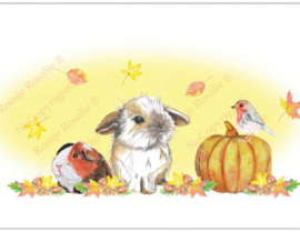 Herfstkaart Konijntje, cavia & roodborstje