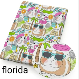 Losse Hoes  ø 21 cm Cavia Print Florida voor kruik of ice pod