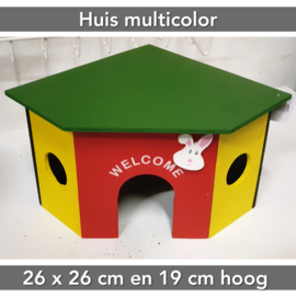 Huis Multicolor