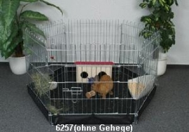 Konijnen cavia ren Nylon Bodem