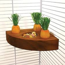 Rosewood Wortel Speelgoed En Snackhouder