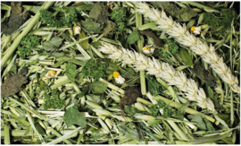 JR Farm knaagdier kruidentuin, 100 gram