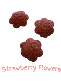 Karina's  Strawberry Flowers 50 gram