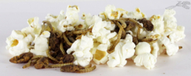 Kippen popcorn met insecten 3 liter