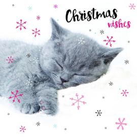 Kerstkaart Kitten Lux Snoozing 10 stuks 2 soorten