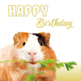 Kaart Guinea Pig Birthday cavia kaart