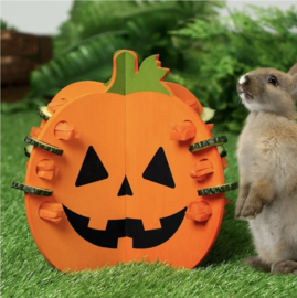 Halloween pompoen foerageerspeeltje