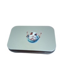 Opbergblikje Cavia in hangmat