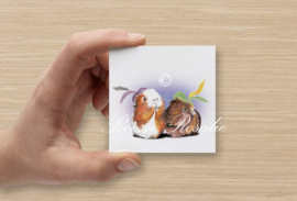 Cadeau kaartje Cavia Pieten Olivia & Muffin