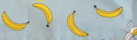 Hangmat  "knaagdier"  XL .... Banaan Bananen katoen