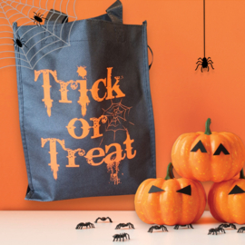 Trick Or Treat Bag
