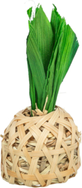 Ananas van bamboe maisbladeren en hooi