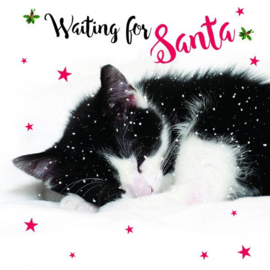 Set van 10 katten kerst kaarten Waiting for Santa