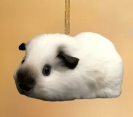 Hanger cavia Rus/ himalaya