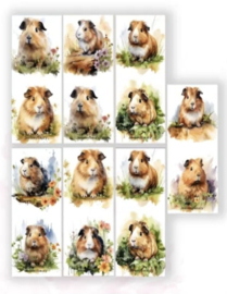 Pen Cavia Aquarel Cavia