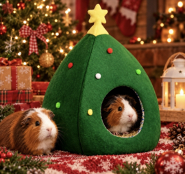 Xmas kerstboom huis B