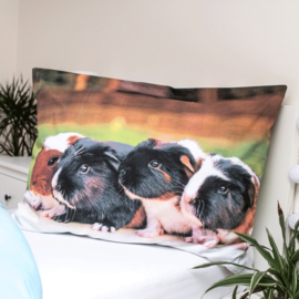 Dekbedovertrek Cavia   - Eenpersoons - 140x200 cm - Katoen - Dubbelzijdig te gebruiken