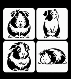 Stencil Tekensjabloon Sjabloonset Mal met Cavia 4 stuks  klein B