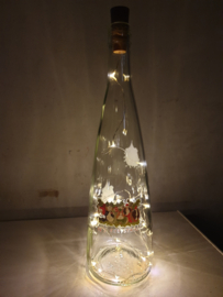 Fles met led verlichting KERST cavia's