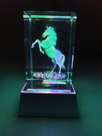 3D Laser Gravure Paard