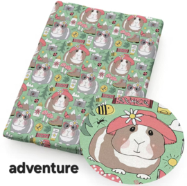 Cavia " Adventure "