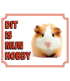 Dit is mijn hobby CAVIA