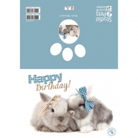 Happy Birthday konijnen kaart