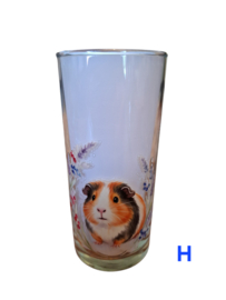 Cavia Longdrink Glas H