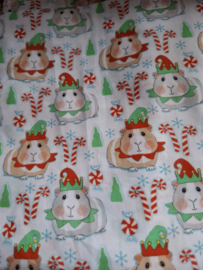Cavia KERST Elf