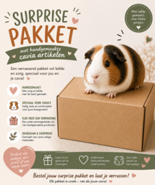 Surprise Pakket met handgemaakte CAVIA artikelen