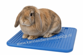 knaagdieren  coolpod blauw  ** ZOMER  **