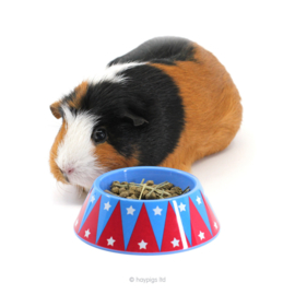 HayPigs!® Junior Food Tamer™ - Mini Food Bowl | mini voerbak Circus OP=OP