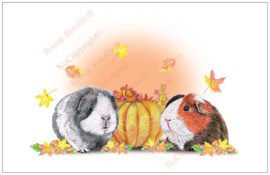 Herfstkaart twee cavia's