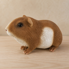 Polystone Cavia Beeld gladhaar cavia rood wit
