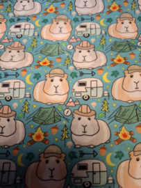 Cavia Print  Kamperen