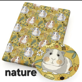 Cavia " Nature "