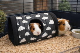 Jumbo Tunnel