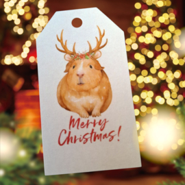 Cadeau kaartje Cavia " Merry Christmas "