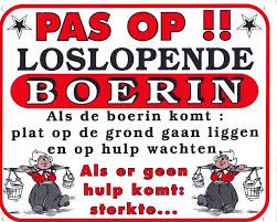 Loslopende boerin