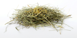 Herbal Hay Calendula & Paardenbloem 500 gram (geel)