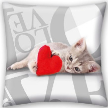 Sierkussen Valentines , Sweet Cat - 40 x 40 cm - Polyester
